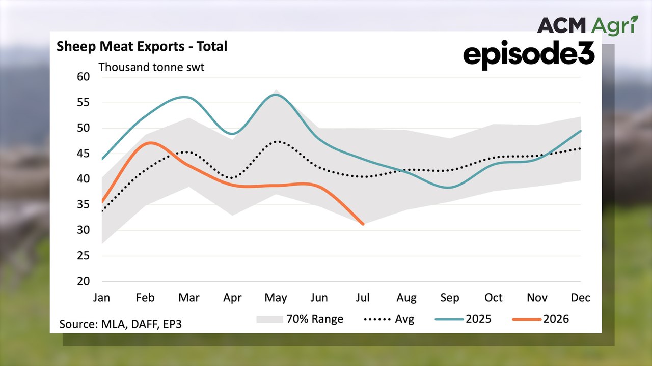 Matt Dalgleish, Episode 3, discussing Australian sheepmeat export data for July 2026