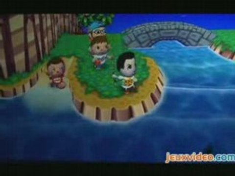 Extrait d'Animal Crossing City Folk sur Wii