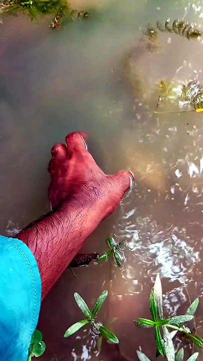 Hand fishing gaon me
