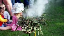 Conservationists look to restore NSW coal country
