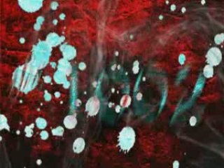 effet pour l'intro vidéo du défilé THE 1002 @ Corsaire