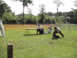 flyball la renaudière