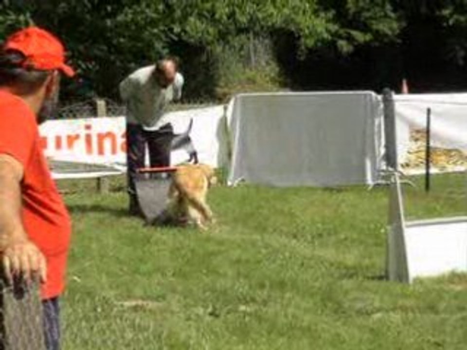 flyball la renaudière