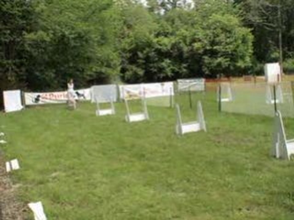 flyball la renaudière