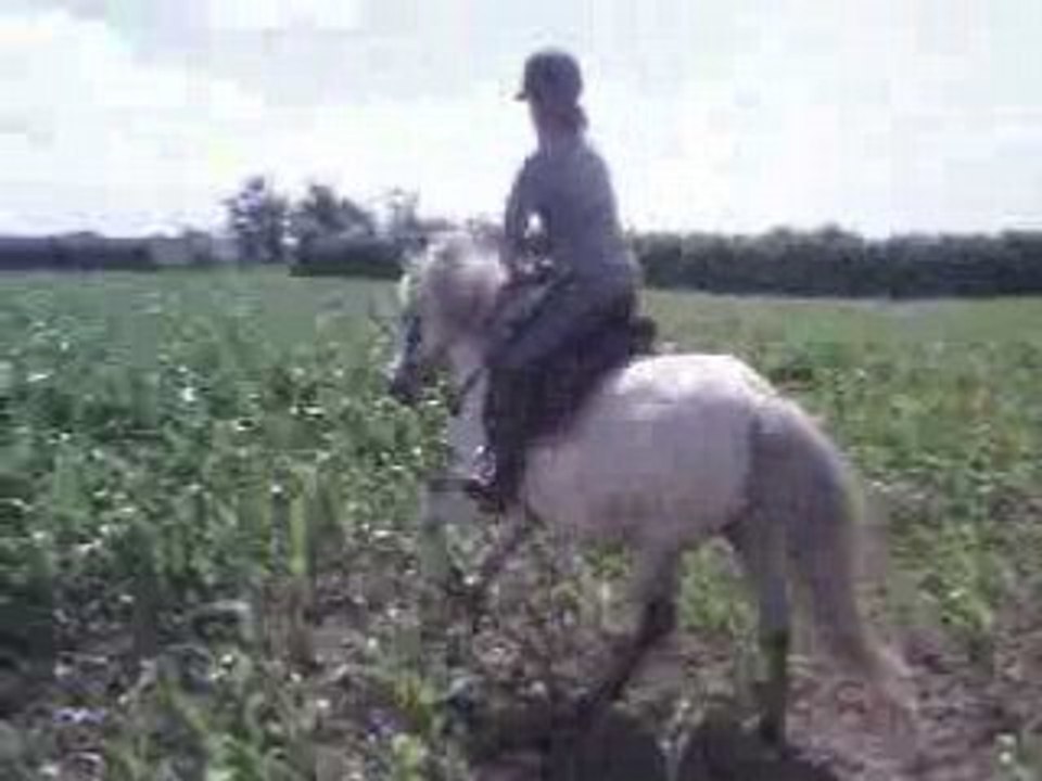 Moi qui m'amuse avec Machu dans un champs (même pa chaud)