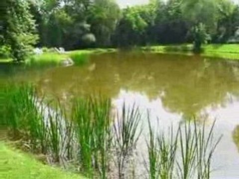 Country Getaways in Ontario: Landfall Farm B&B