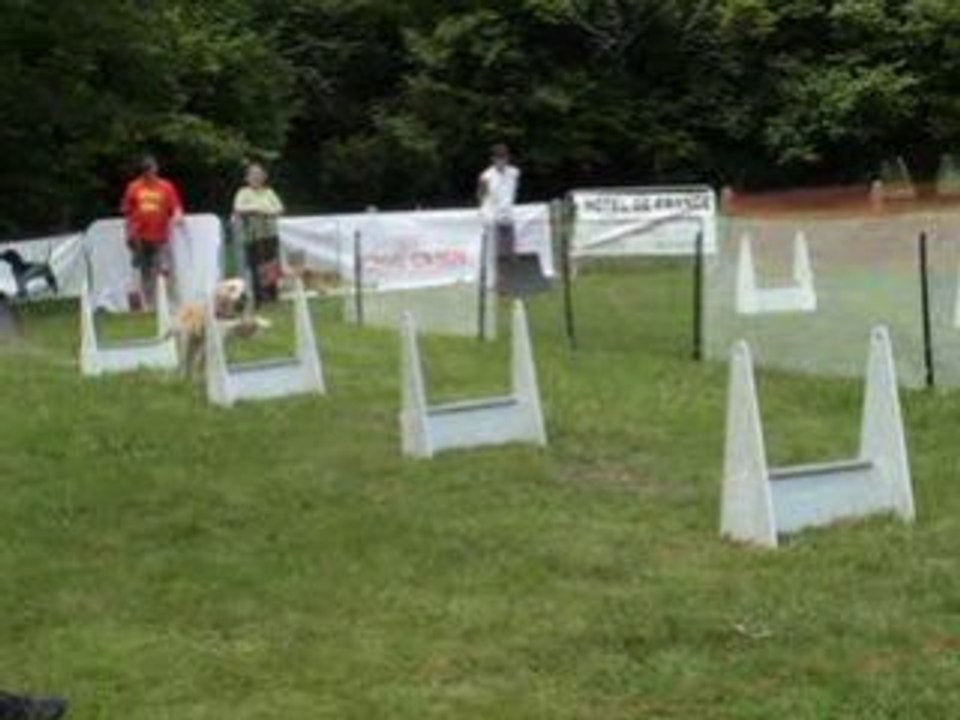 flyball la renaudière