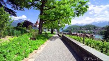 Spiez Switzerland: A Breathtaking Lakeside Town Amidst Hills and Vineyards