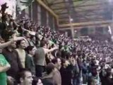 Panathinaikos fans