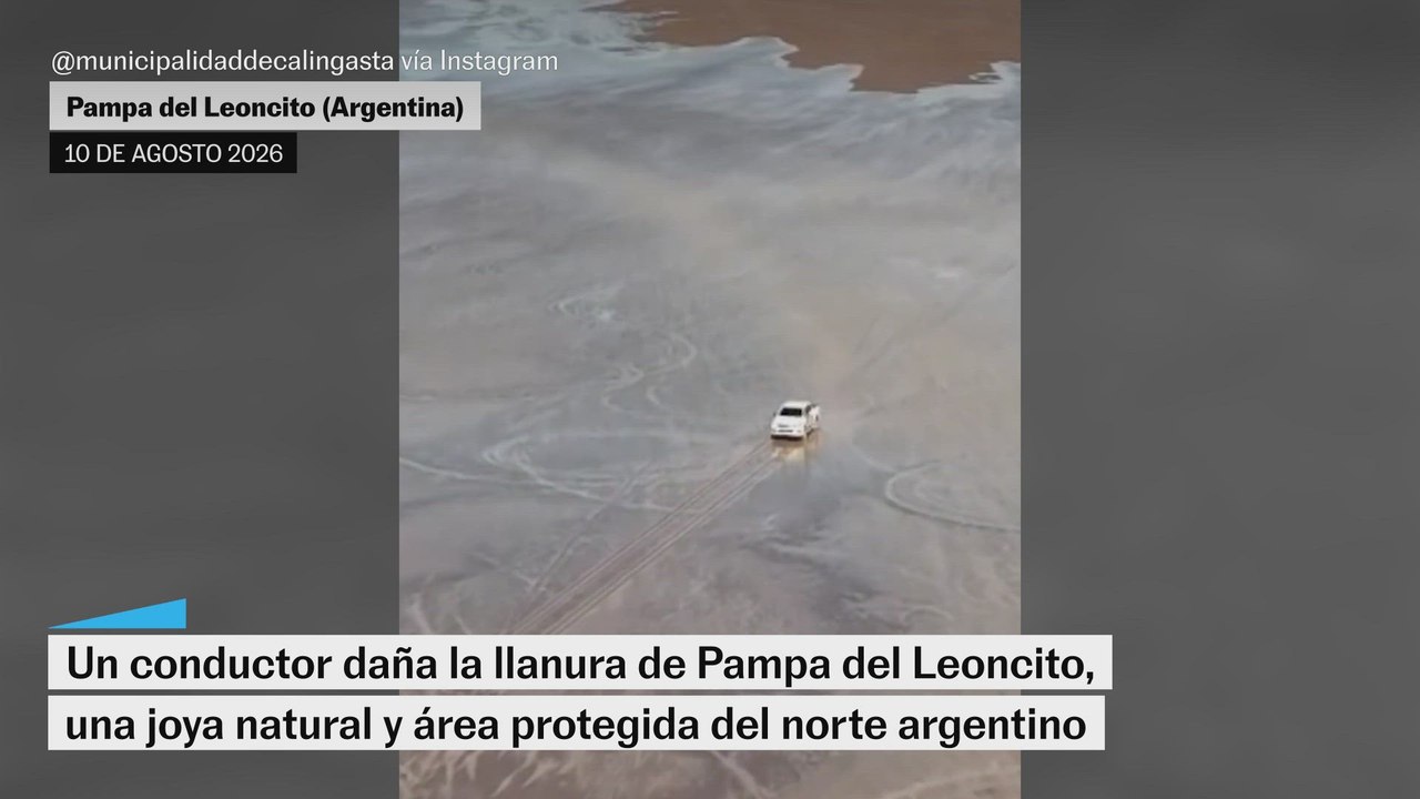 Un conductor daña la llanura de la Pampa del Leoncito, área protegida del norte argentino