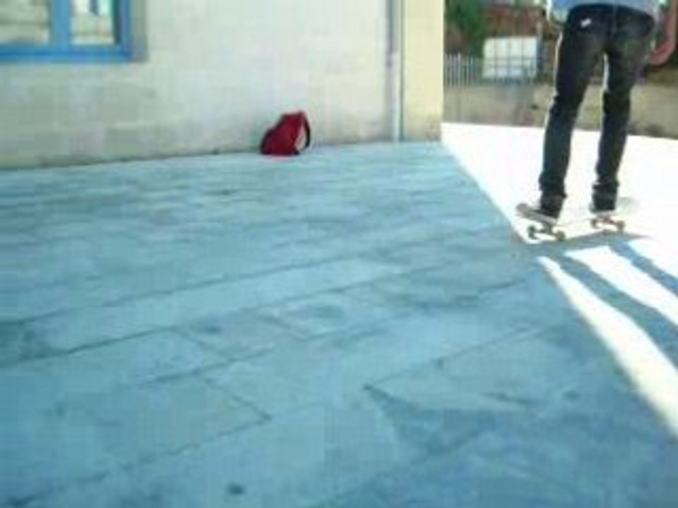 session délire ollie bump to nose grab