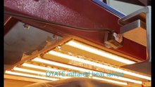 380VAC 1600W 19.59" Short Medium Wave Tube Quartz Heater Element or Bulbs for Textile Drying