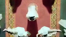 The Empress Who Bore Kittens - Drama Movie   Fantasy Palace Romance, Royal Mystery, Short Drama - ENGSUB [Full Movie]