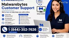 ∬~Full™ {{~TECH©}} of ➤MALWAREBYTES Toll Free® Support® CUSTOMER© SUPPORT ASSISTANCE℗ NUMBERS : 2026 Easy Step by Step Guide
