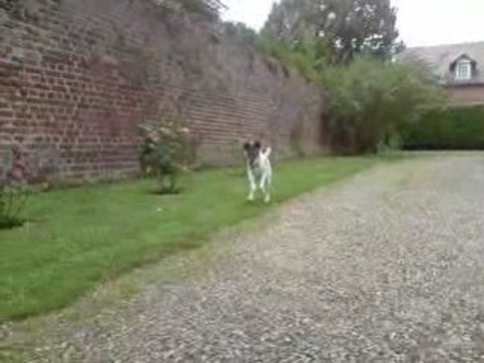 Prêt... feu.. partez !!!!