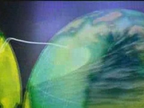 Tribo De Jah - Reggae Na Estrada (Live In Jamaica)