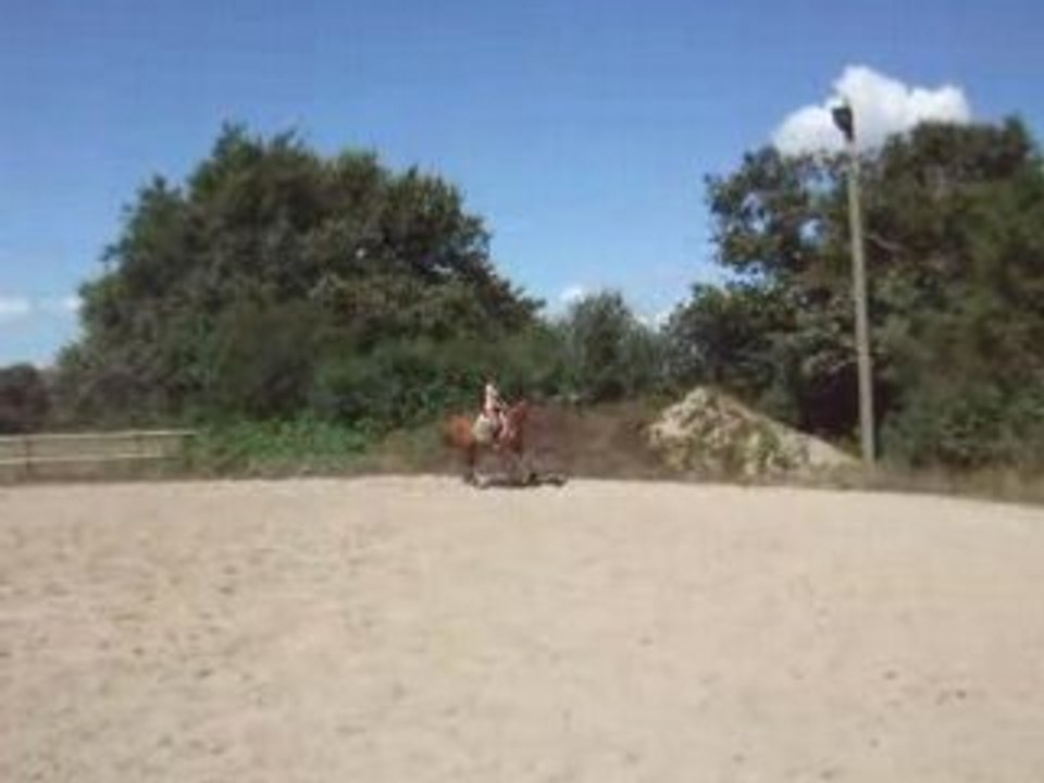 DSCF2463