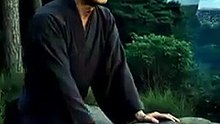Origines du Ninjutsu : la vérité derrière la légende