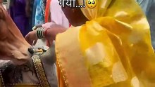 नंदी || आचार्य प्रशांत