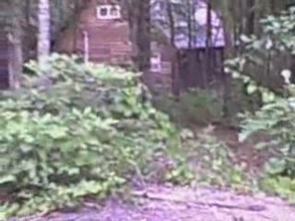 Georgia