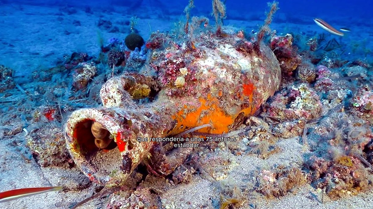 Un enorme dolium romano y un posible pecio salen a la luz bajo las aguas de la isla de Elba