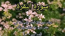 Surah Al Baqarah Ayat 109 | Forgiveness & Patience | Part 70
