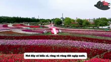 【Đây Là Tây Du Của Tôi】EP08-1: TNT hóa thân thành “bé cưng” siêu đáng yêu! Mau đến rước bé yêu của bạn về nào!