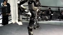 Deberíamos preocuparnos ya por los robots armados