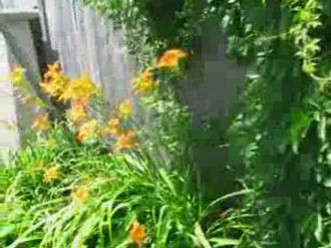 Country Getaways in Ontario: Port Perry