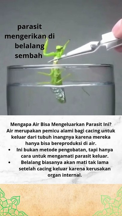 Mengapa Air Bisa Mengeluarkan Parasit Ini