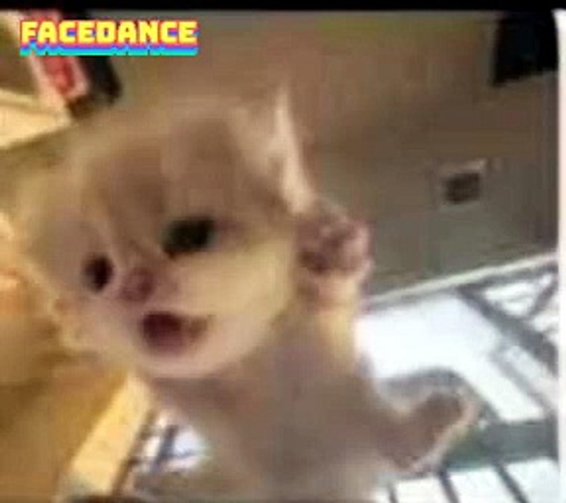Mi primer video de Dailymotion