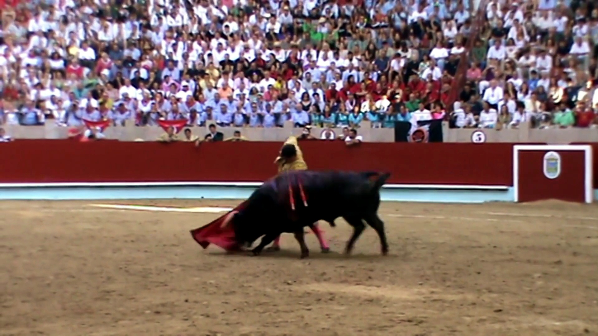 Grana y Oro con los festejo de El Puerto de Santa María, Huesca, Pontevedra, Marbella, Madrid, Socuéllamos, etc