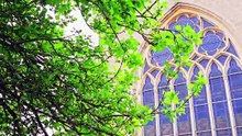 Routes de la Soie/H2O à la Chapelle des Cordeliers / EVOO 2026
