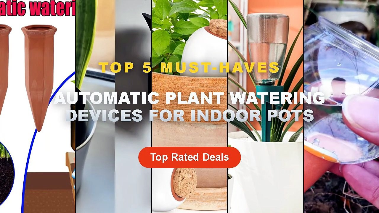 Top 5 Best Automatic Plant Watering Devices For Indoor Pots (Must Have!) - 1pcs 200ML Automatic Plant Watering Self Wate...