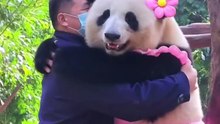 Huahua's Dance Universe｜花花的舞蹈宇宙（12）