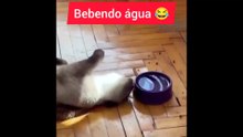 Novo jeito de beber água