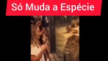 Só Muda a Espécie