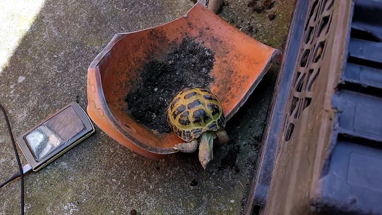 A struggle of his own making