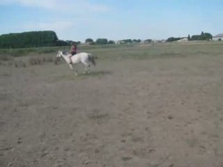 reprise de dressage au terrain^^ 2