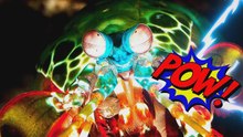 La crevette qui frappe plus fort qu’une balle et voit des couleurs inimaginables – LA CREVETTE-MANTE