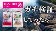 【穴釣り】ダイソーの生エサで穴釣りしてみたら…