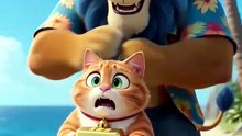 Funnycat 🤣