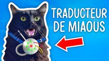 Les innovations high-tech que les chats vont adorer