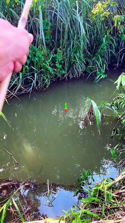 I’m the Best Fisherman in the World! 🐟🔥 Catch...