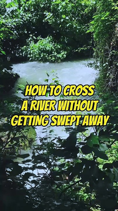 How to Cross a River Without Getting Swept Away 🌊