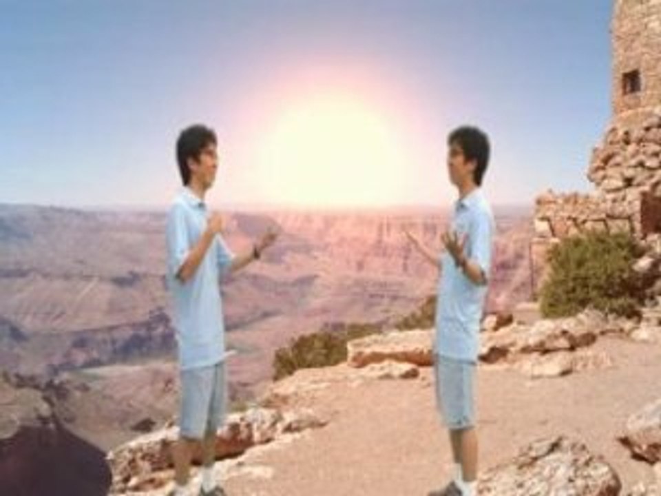 Twins 2