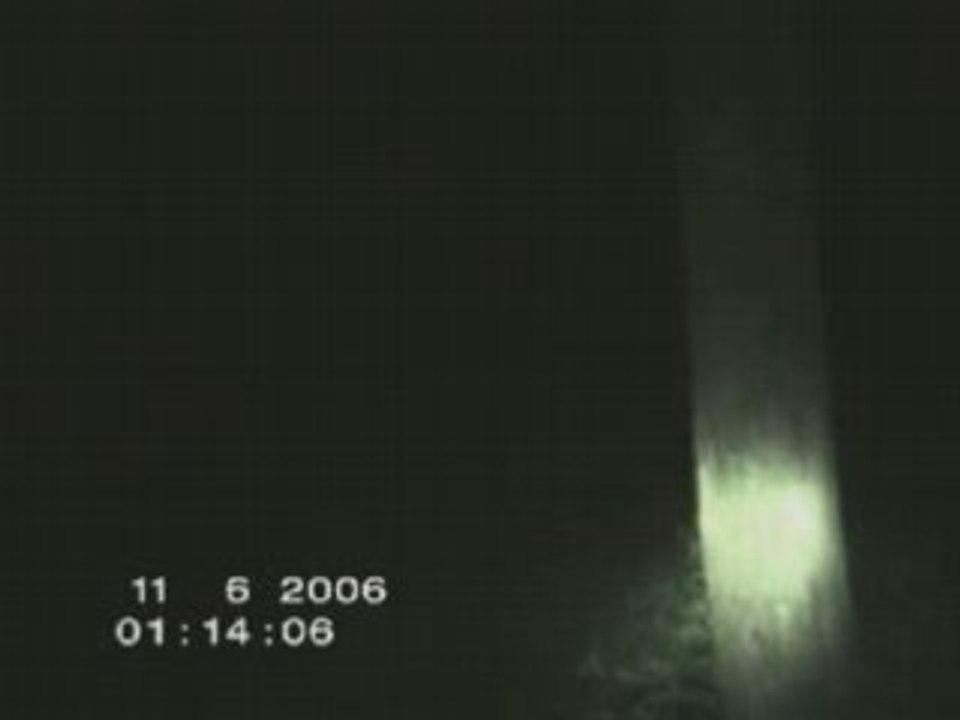 Creature etrange - foret