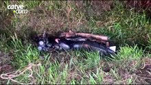Motociclista morre em grave batida frontal na BR-369, em Cascavel