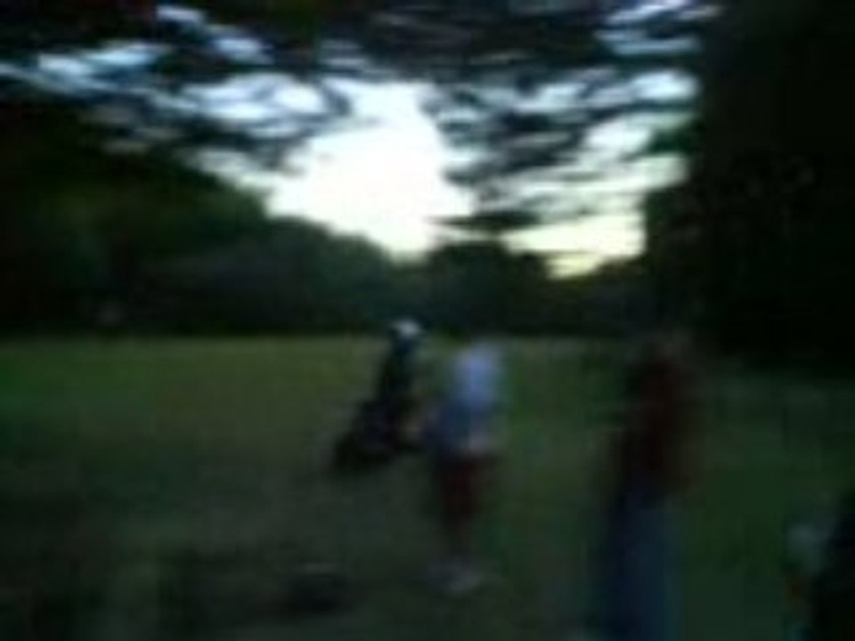 Le mur de paille (2)