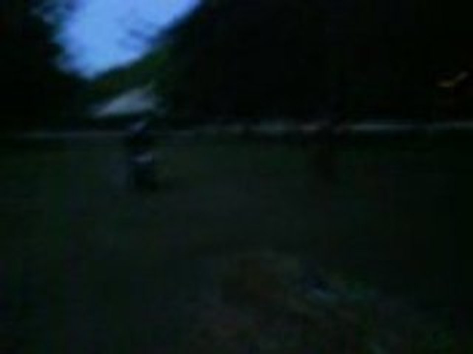 Le mur de paille (3)